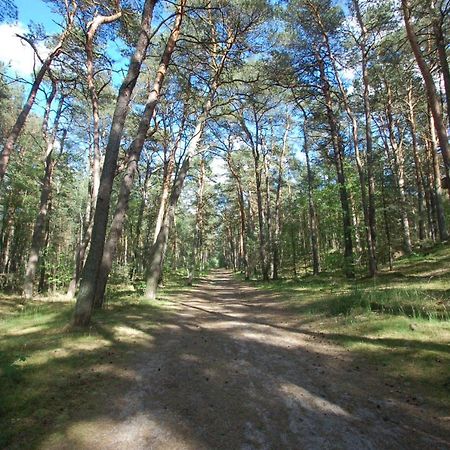 M&K Apartamenty Zielony Zakatek - Sobieszewo Danzica Esterno foto