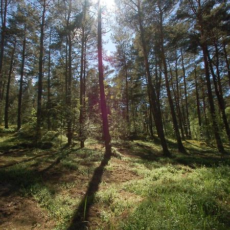 M&K Apartamenty Zielony Zakatek - Sobieszewo Danzica Esterno foto