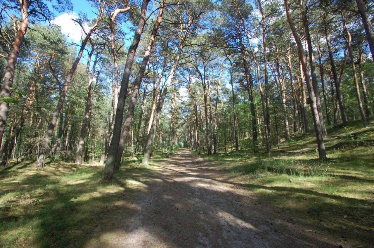 M&K Apartamenty Zielony Zakatek - Sobieszewo Danzica Esterno foto