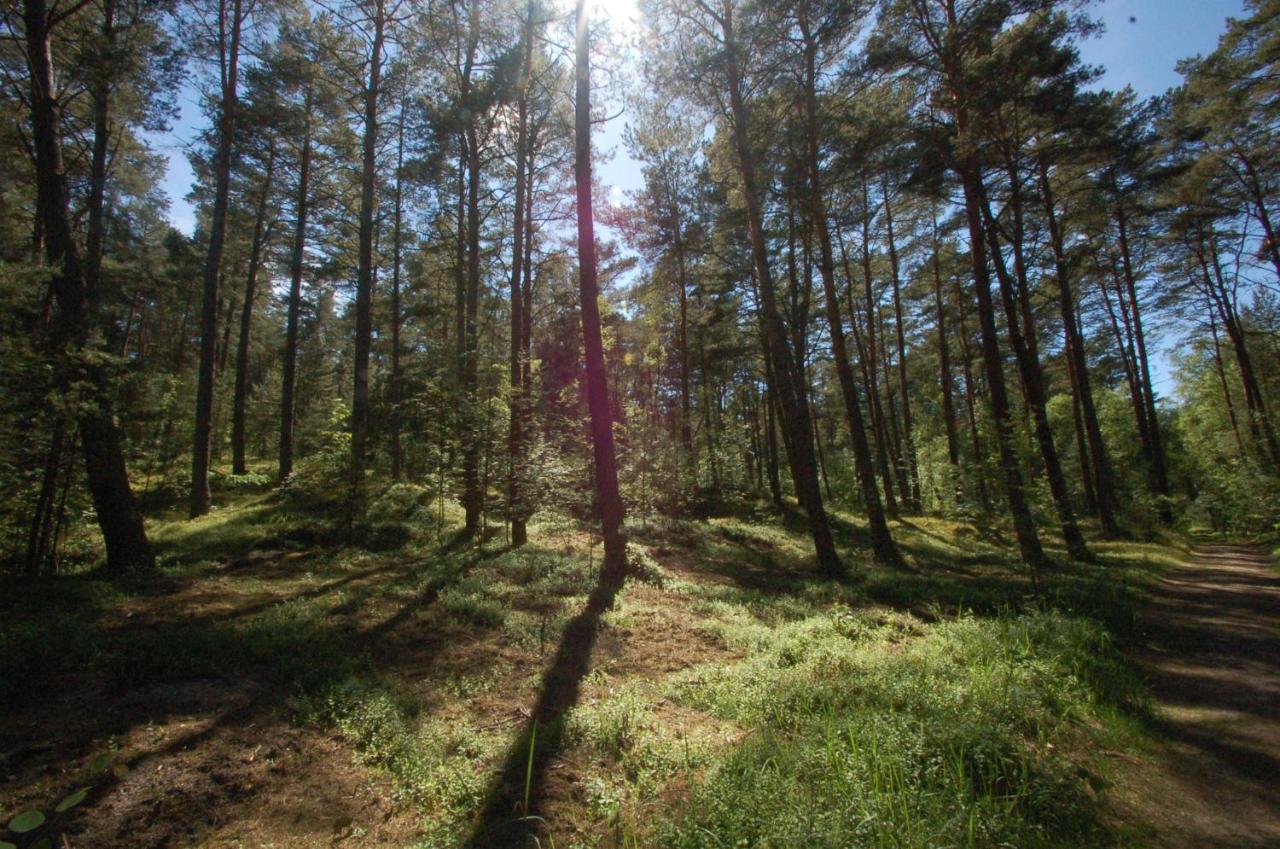 M&K Apartamenty Zielony Zakatek - Sobieszewo Danzica Esterno foto